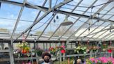 A Milwaukee nonprofit that helps teens earn while learning to grow produce, flowers and other greenery is planning a $7 million expansion