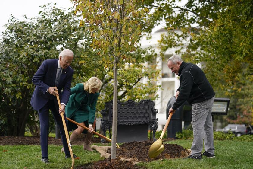 Opinion: Is planting trees on Arbor Day one way we can all fight climate change? Not so much