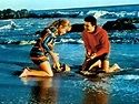 Gidget Goes Hawaiian (1961) - Turner Classic Movies