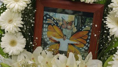 El guardián de las monarcas, un santuario en peligro