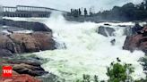 Ample rain in Karnataka to aid release of Cauvery water to Tamil Nadu | Bengaluru News - Times of India