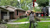 NC needs housing, work for local sawmills. Will this Triangle tree service’s plans help?