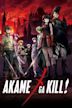 Akame Ga Kill