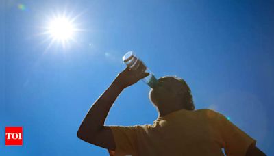 Heatwave intensifies in Uttar Pradesh, Jhansi sizzles at 48.10 degrees Celsius | Lucknow News - Times of India