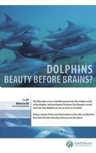 Dolphins: Beauty Before Brains