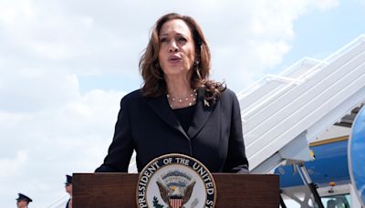 Election 2024 Latest: DNC chair says Harris secured enough delegate votes to become party nominee