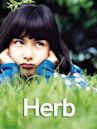 Herb (film)