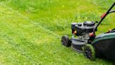 Landscape gardener's top tips for keeping your lawn green this summer