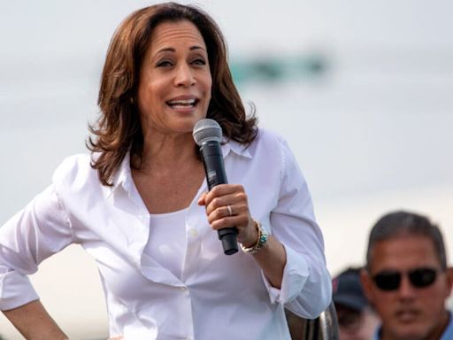 Nancy Pelosi Vs. Kamala Harris: Poll Shows Who People Think Is the Better Investor