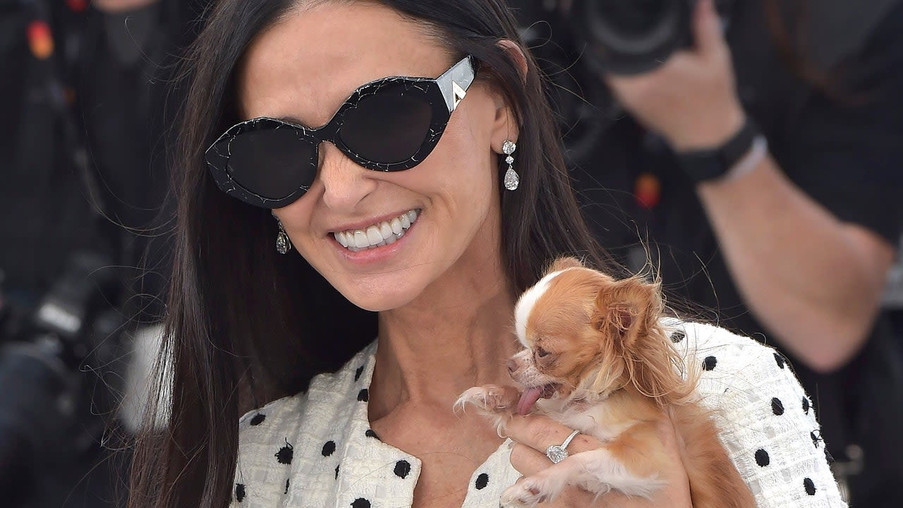 Demi Moore and Her Dog, Pilaf, Are the Beauty Stars of Cannes