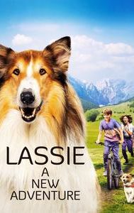 Lassie - A New Adventure