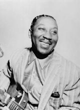 Muddy Waters