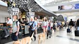 Newark Airport goes to the (guide) dogs as Seeing Eye training resumes