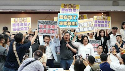 民眾黨早表態反提高罷免門檻 黃珊珊斥綠：立院整天停擺非國家之福 | 政治 | Newtalk新聞