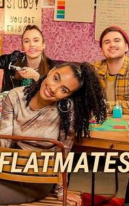 Flatmates (British TV series)