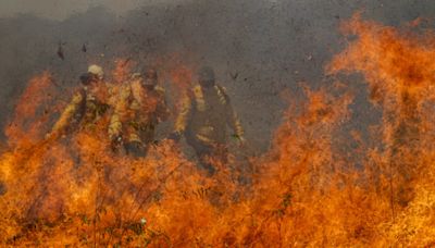 Fogo no Pantanal bate recorde com mais focos de calor do que em 2020, quando um terço do bioma foi devastado