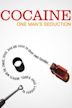 Cocaine: One Man's Seduction