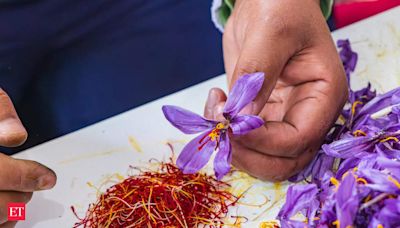 In rare form, saffron worth king’s ransom: ‘Kesar’ prices soar up to Rs 4.95 lakh/kg in retail as Iran tensions weaken its exports of the spice