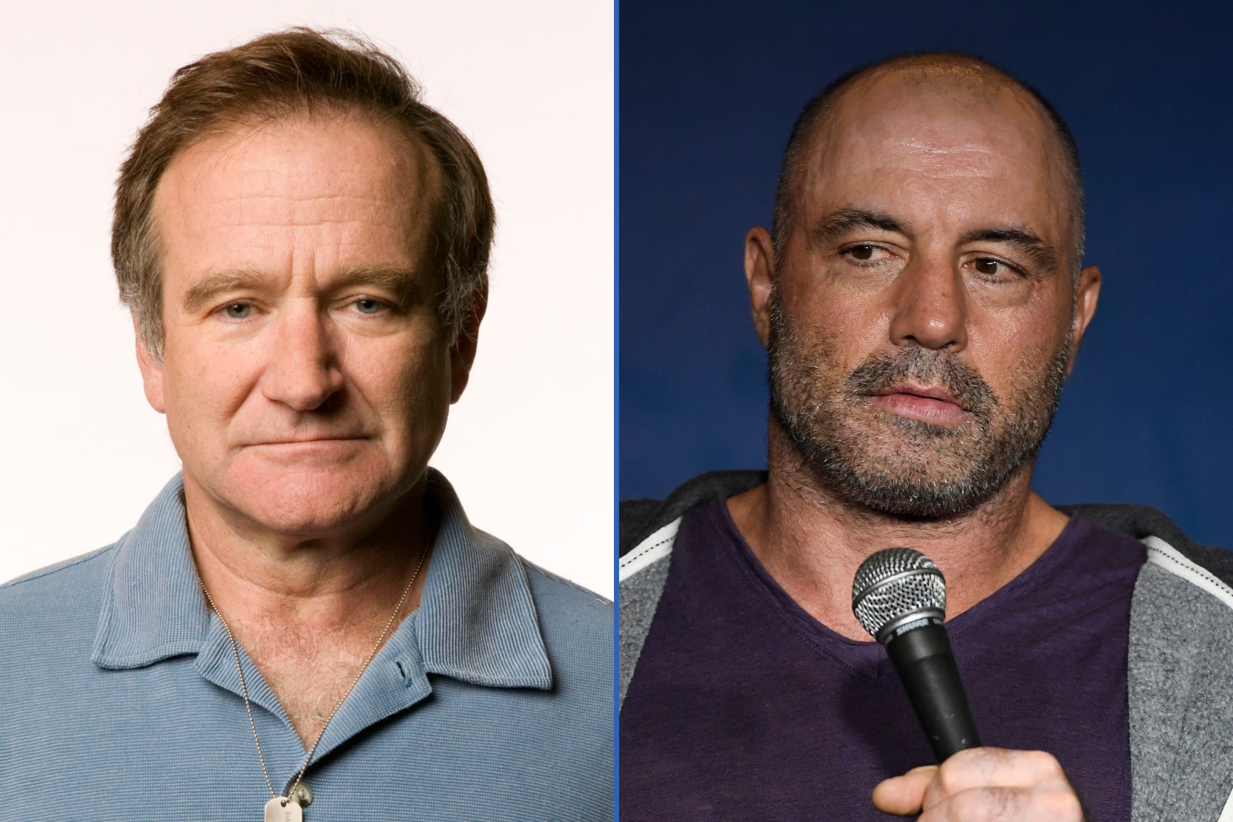 Joe Rogan slams Robin Williams