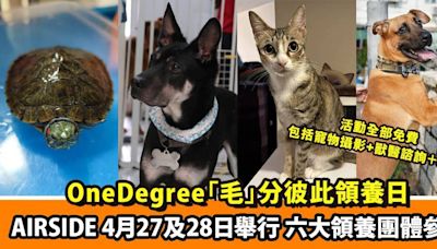 OneDegree舉辦全港首個大型跨動物品種、跨領養機構大型領養活動 4月27及28日去Airside搵新家人 兼帶毛孩一齊玩免費活動！