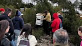 La apicultura natural y cómo generar una comunidad regenerativa centrada en los valores y no en la economía