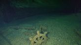 Schooner that sank in Lake Michigan in 1881 found intact, miles off Wisconsin coastline