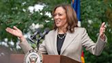 Will earn and...: Kamala Harris after Biden drops out