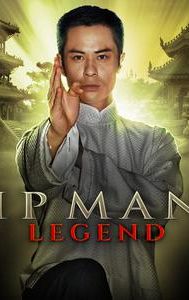 The Legend Is Born: Ip Man