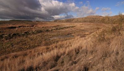 Espartal- Ecologistas en Acción pide protección regional para los hábitats naturales del Arroyo de la Cañada de Valdemoro