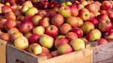 Why Costco Shoppers Have Issues With Its Honeycrisp Apples