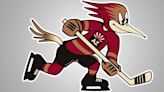 Tucson Roadrunners eliminated from Calder Cup Playoffs after 4-3 loss to Calgary