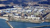 Japan estimates Fukushima water release to start in 'spring or summer'