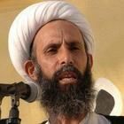 Nimr al-Nimr