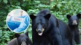 Rabies warning as disease detected in Connecticut black bear