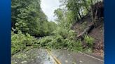 Large tree falls, blocking road in Shaler Township