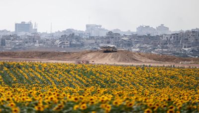Guerra entre Israel y Hamás en Gaza hoy 7 de junio: Israel efectúa nuevas operaciones sobre Rafah; Benjamín Netanyahu comparecerá ante el Congreso de Estados...