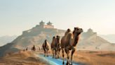 Silk Road expands further in digital age