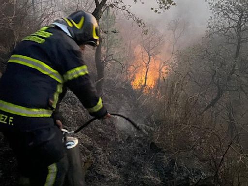 Incendio en Bosque de Tlalpan cerca de Six Flags: Bomberos CDMX revelan qué sucedió