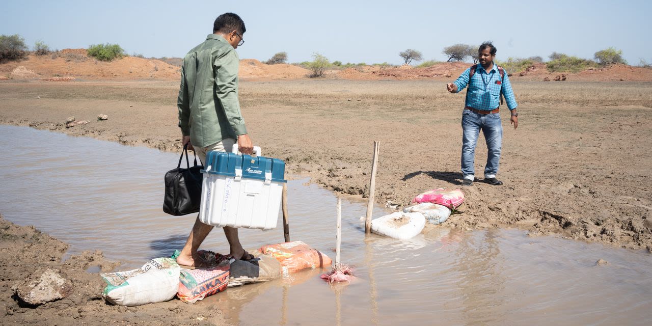 Poll Workers Brave Snakes and Seas in World’s Biggest Election