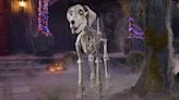 Skelly, Home Depot's 12-foot skeleton, gets a canine companion — and he's a very good boy