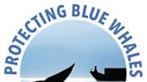 Protecting Blue Whales and Blue Skies BizSpotlight - San Francisco Business Times