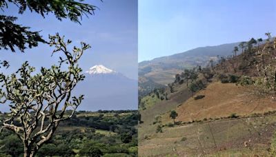 Gracias a la IA; FOTO muestra cómo se vería el Pico de Orizaba sin afectaciones por cambio climático