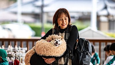 狗狗幣原型日本柴犬過世 全球粉絲痛心哀悼