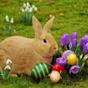 Ostern Fotos