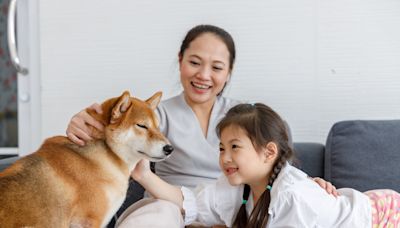 Down 64% From Its High, Is Now the Perfect Time to Buy Shiba Inu?