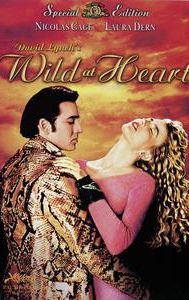 Wild at Heart