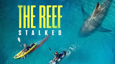 The Reef: Stalked