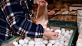 蛋價「降3元」創2年新低！市場機制發威，蛋商稱「雞蛋多到賣不完…」6月端午節前會再降？