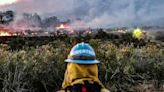 Study details deadly longterm effects of wildfire smoke in California