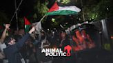 Manifestantes a favor de Palestina y policías de la CDMX se enfrentan en la embajada de Israel; hay 6 heridos